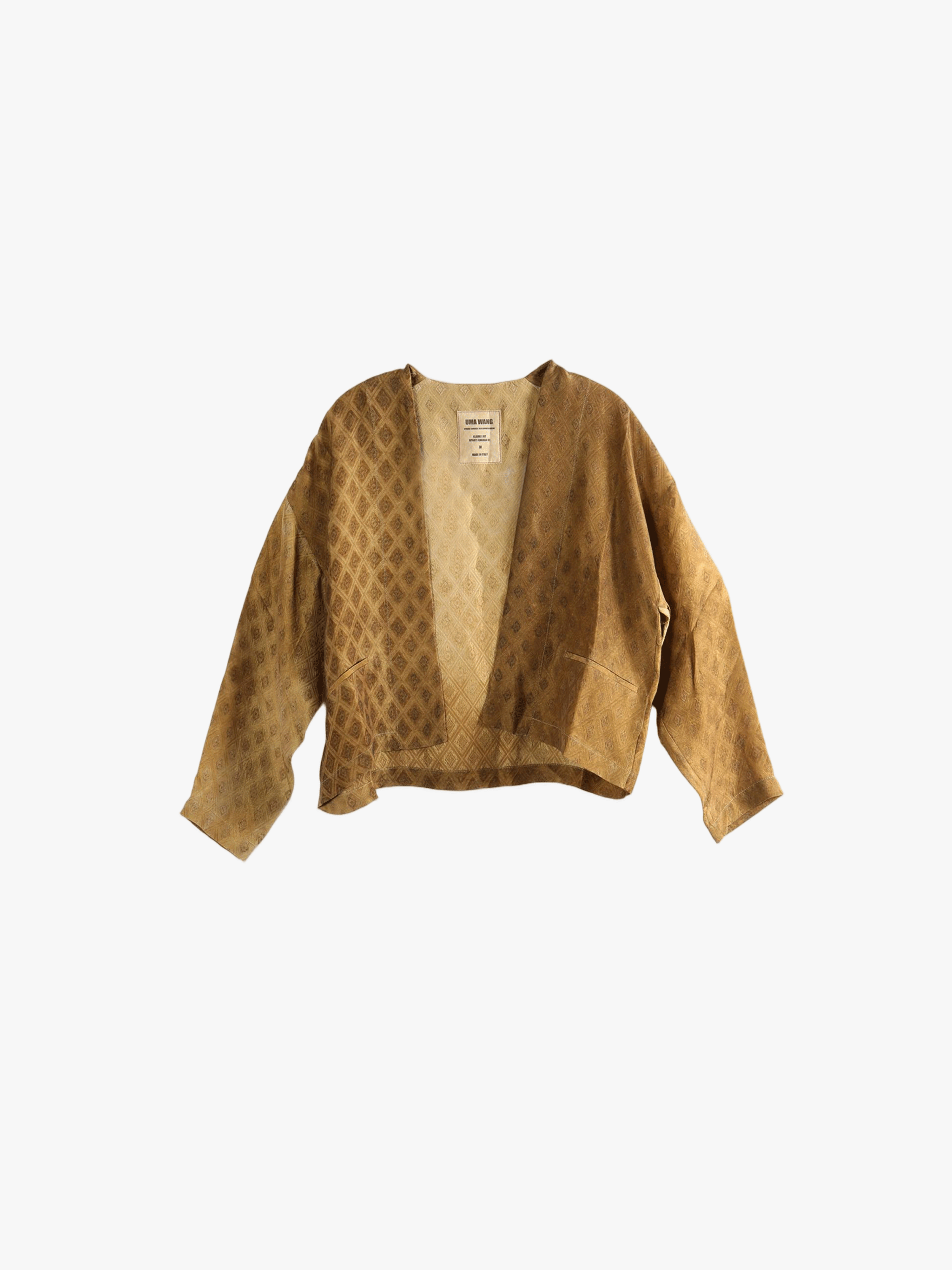 Brown jacket, front view