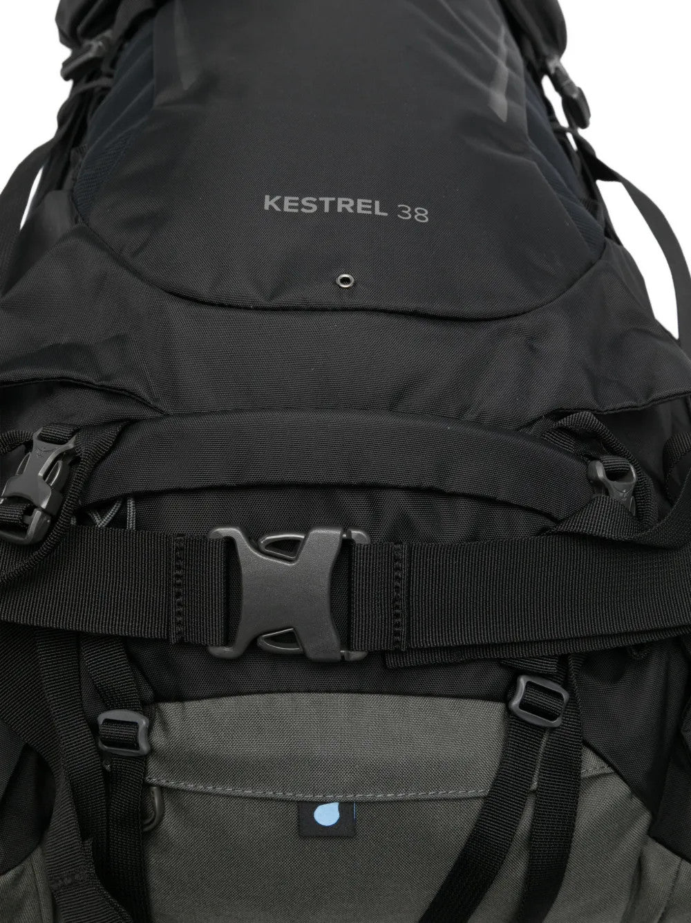 Black bag, back view