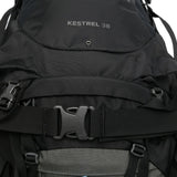 Black bag, back view