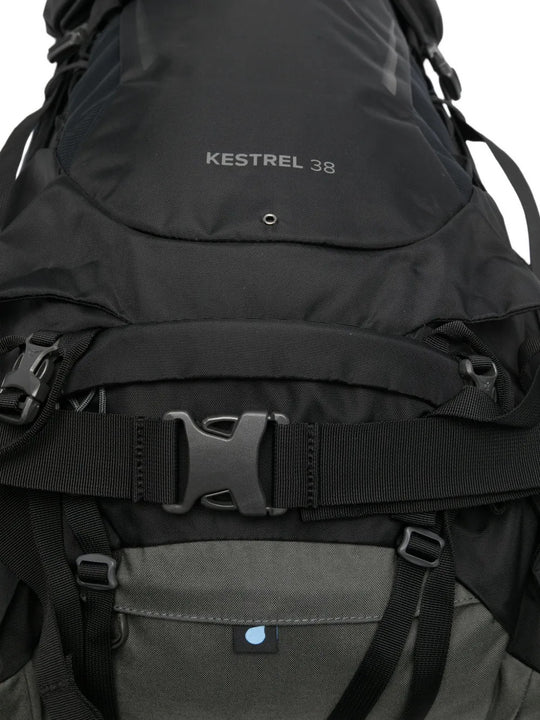 Black bag, back view
