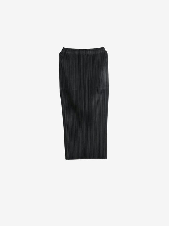 Black skirt, front view