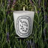 DIPTYQUE - Feuille De Lavande Classic Candle