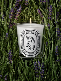 DIPTYQUE - Feuille De Lavande Classic Candle