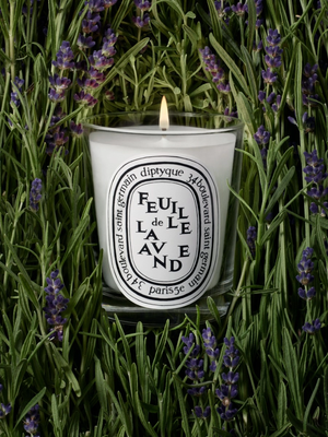 DIPTYQUE - Feuille De Lavande Classic Candle