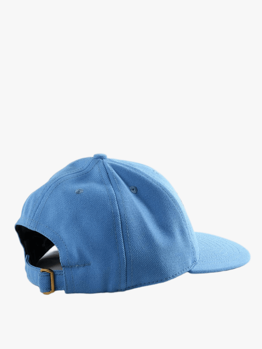 Blue hat, back view