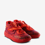 Red sneaker,side view