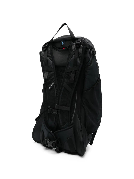 Black bag, back view