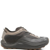 Brown sneaker, front view