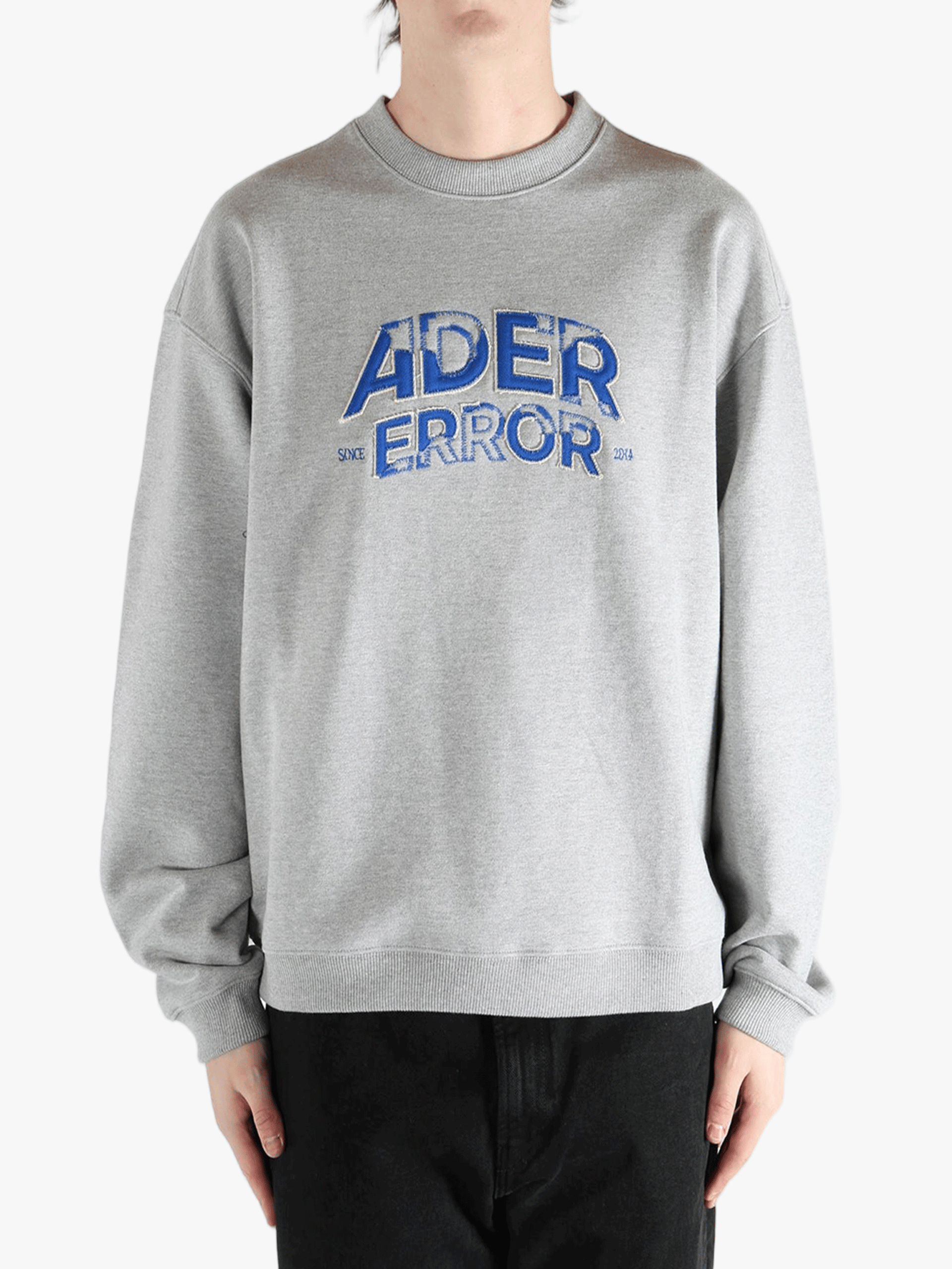 ADER ERROR - Unisex Personalized Logo Designs Hoodies – Atelier