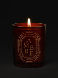 DIPTYQUE - Ambre Medium Candle