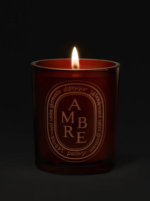 DIPTYQUE - Ambre Medium Candle