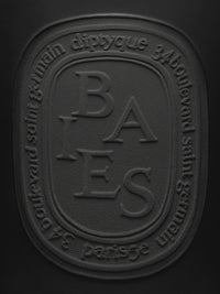 DIPTYQUE Black Baies Extra Large Candle