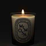 DIPTYQUE - Mimosa Classic Candle
