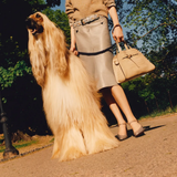 Tan bag worn by a person, showing the bag fit