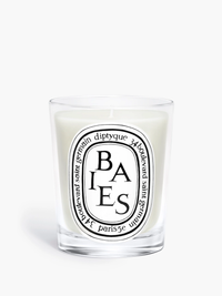 DIPTYQUE Baies Classic Candle