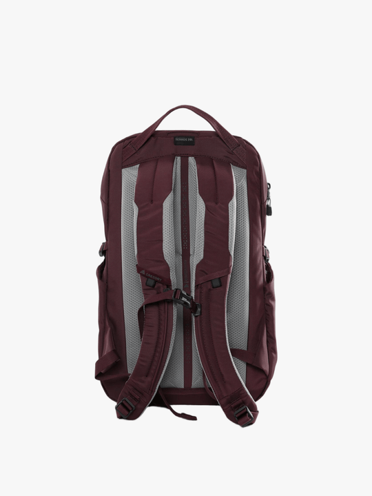 Burgundy bag, back view