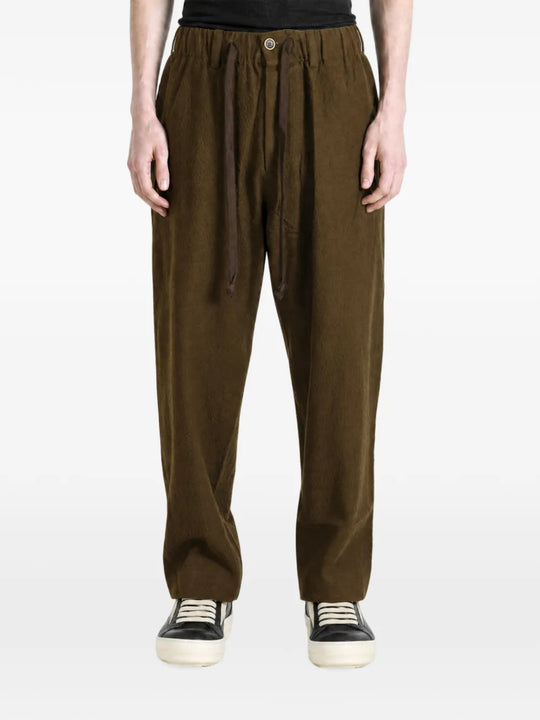 Brown pants, full body view