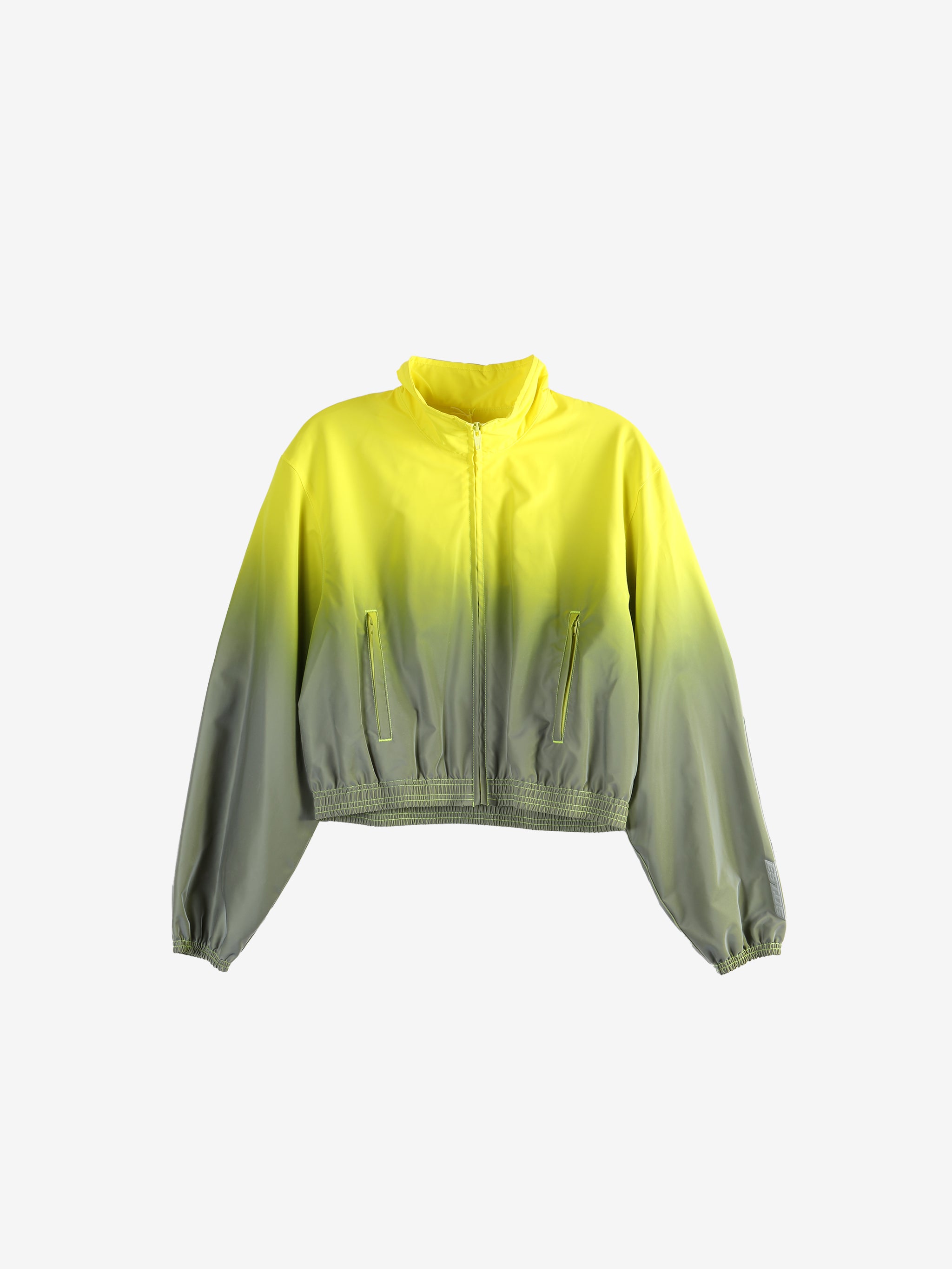 yellow jacket, front view