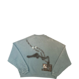 Blue hoodie, back view