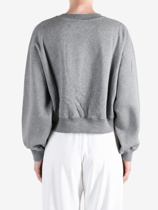 Grey hoodie, full body view