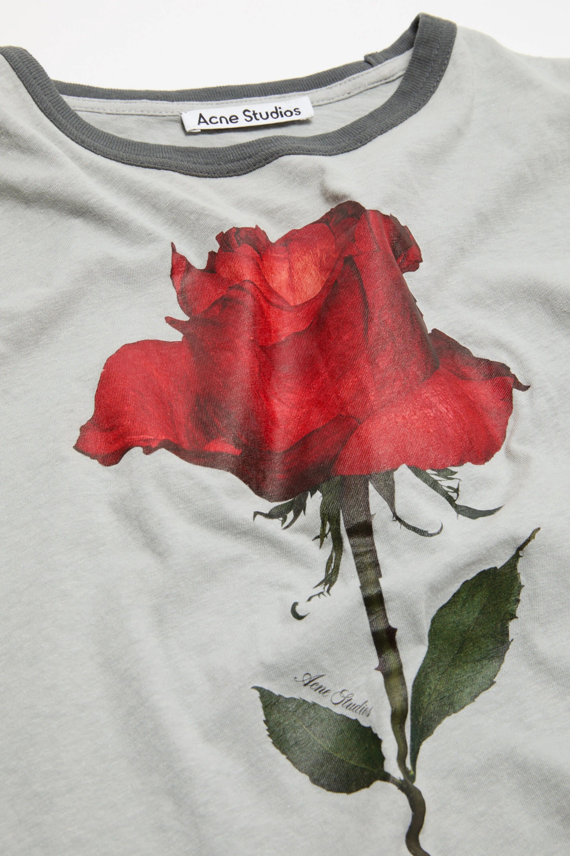 Grey t-shirt, front view
