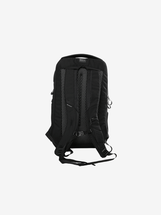 Black backpack, back view