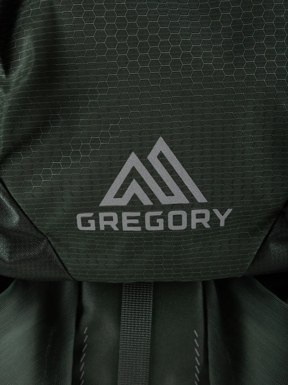 Green bag, front view