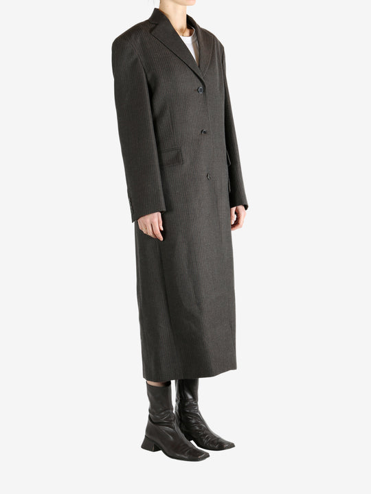 Brown coat, full body view