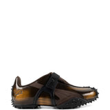 Brown shoes, side view