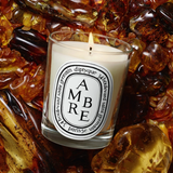 DIPTYQUE - Amber Classic Candle