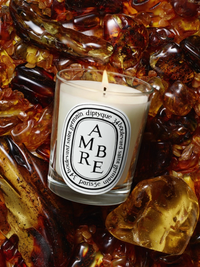 DIPTYQUE - Amber Classic Candle