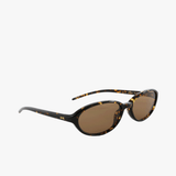 Brown eyewear, front view
