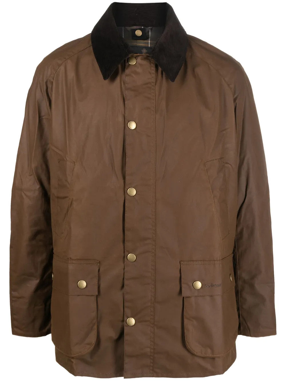 Brown jacket, front view