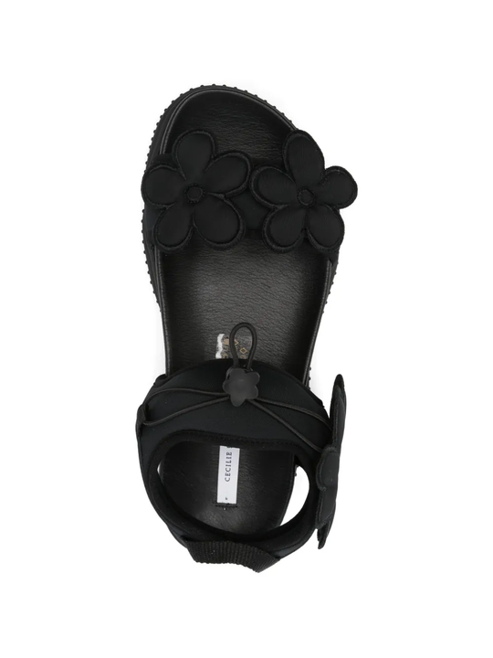 Black shoes,top view