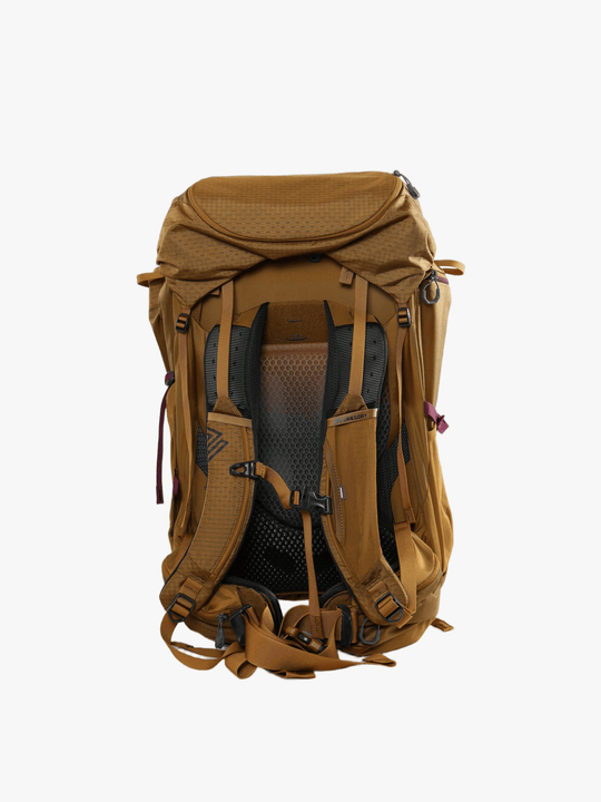 Brown bag, back view