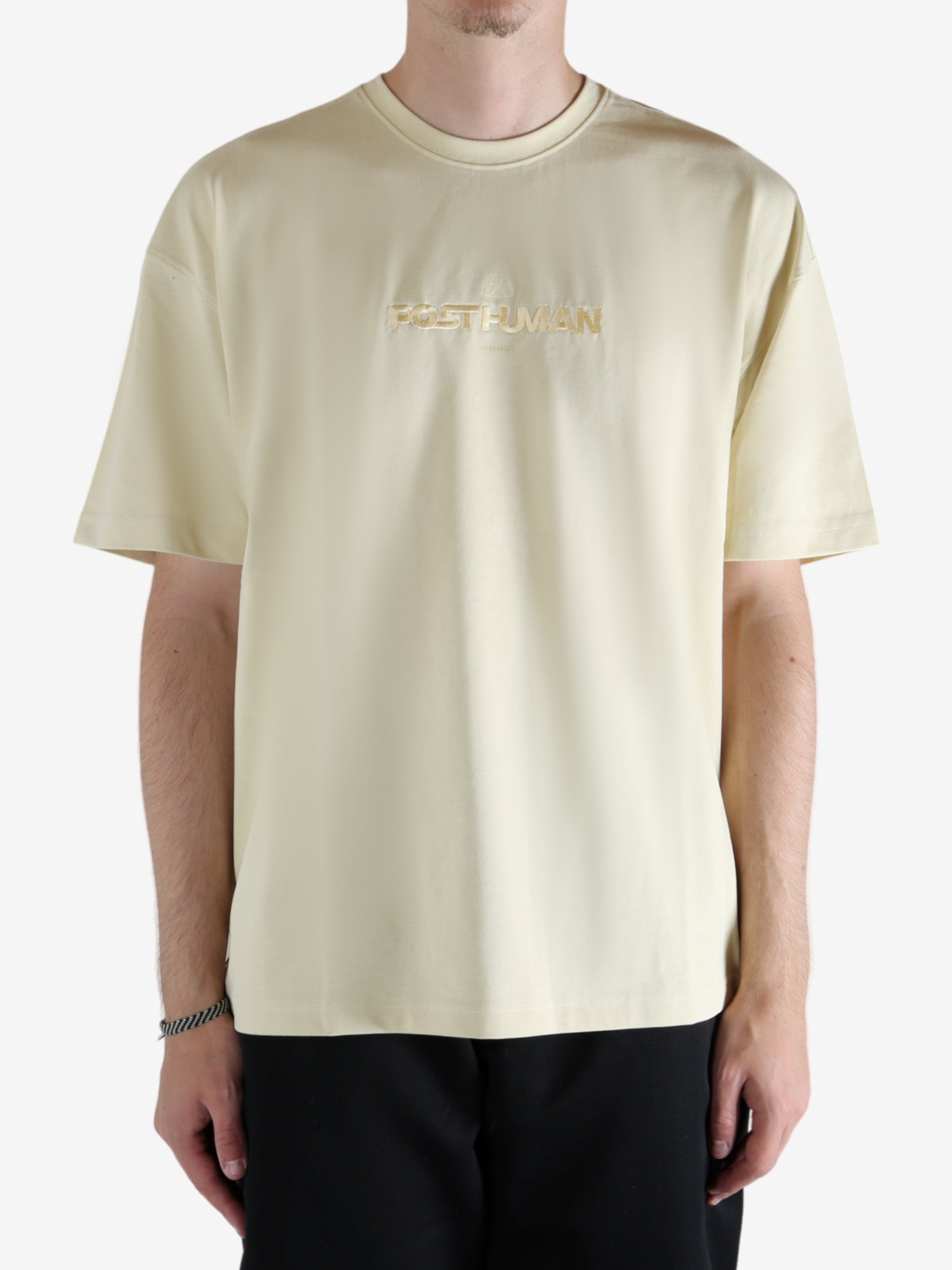 Tan t-shirt worn by a person, showing the t-shirt's view
