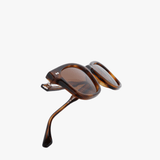 Brown eyewear, front view