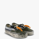 Blue shoes, front view