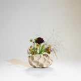 ANN SHURE - Hand-Built Stoneware A Vase