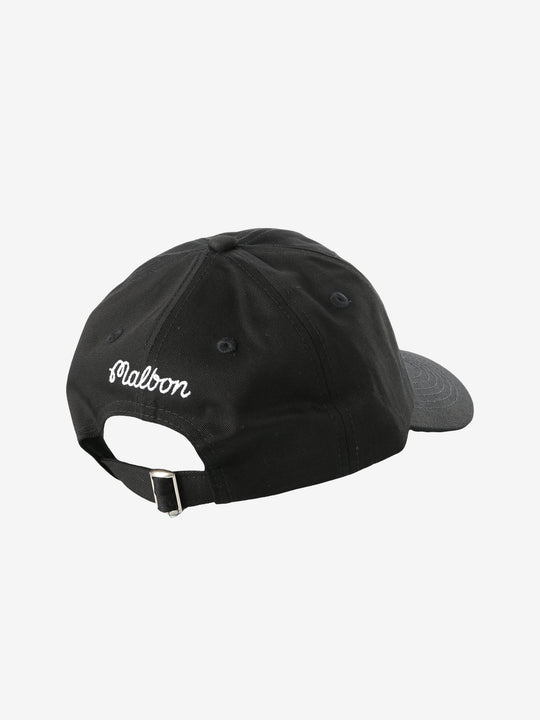 Black hat, back view