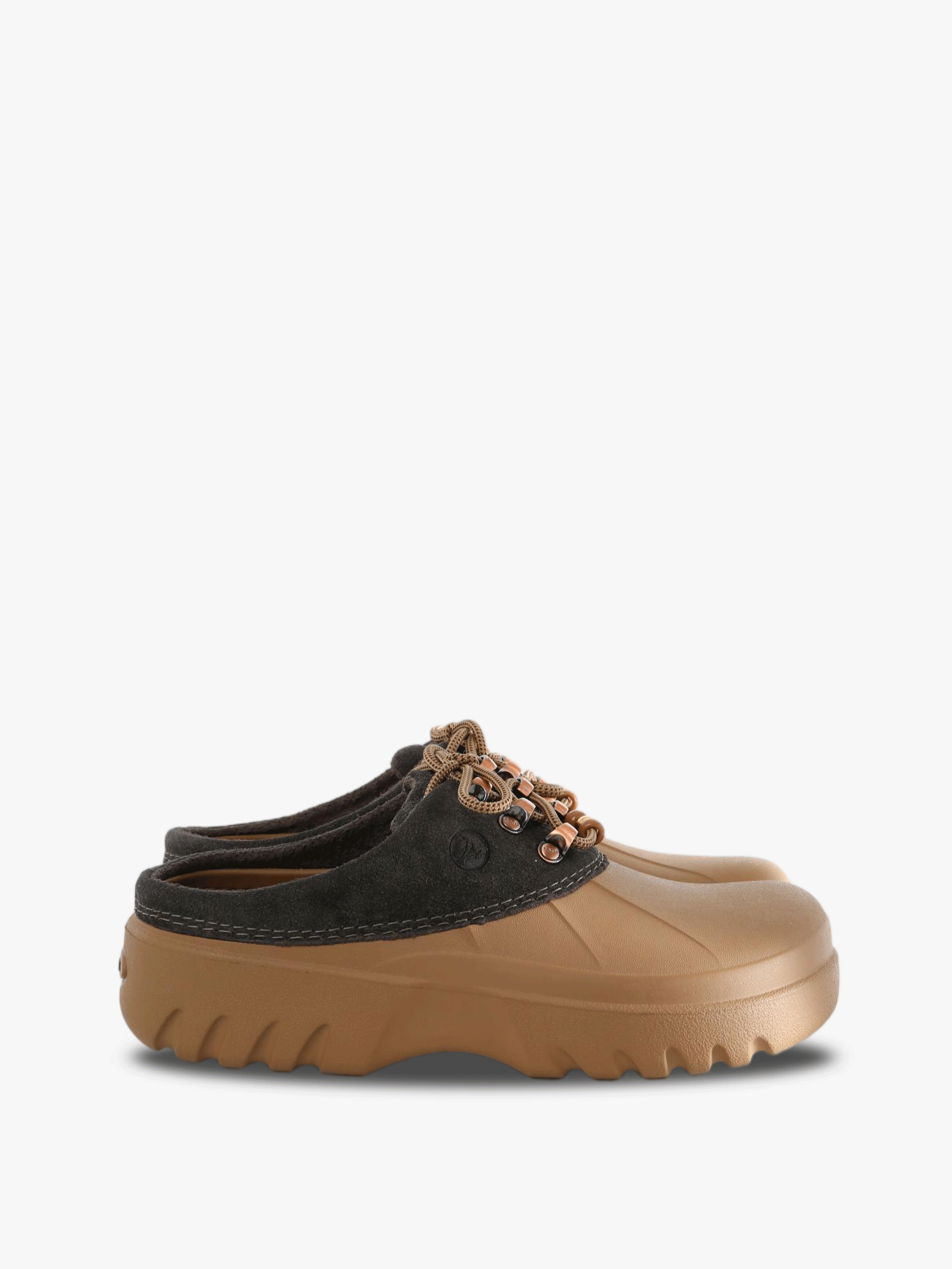 Brown shoes, side view