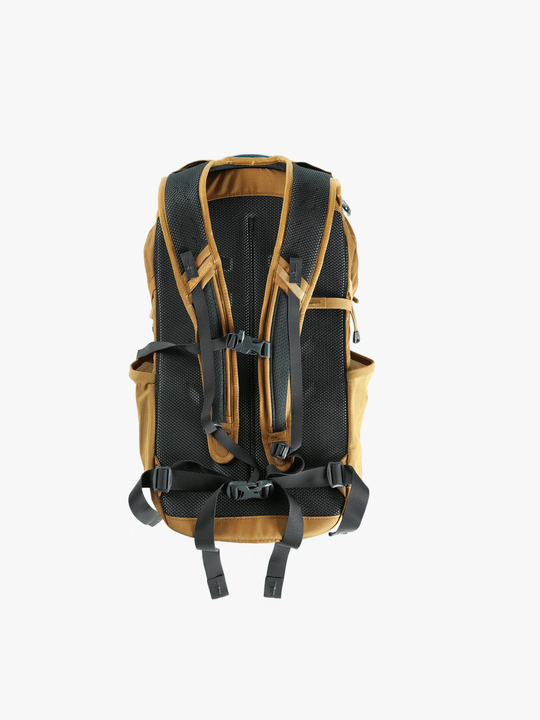 Tan backpack, back view