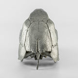 PARTS OF FOUR- Turtle Skull (Var Held Aggression, MZ)