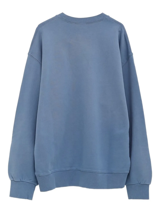 Blue sweat, back view