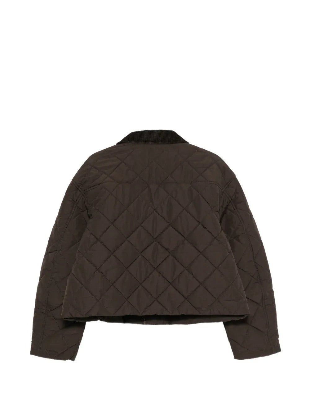Brown jacket, back view