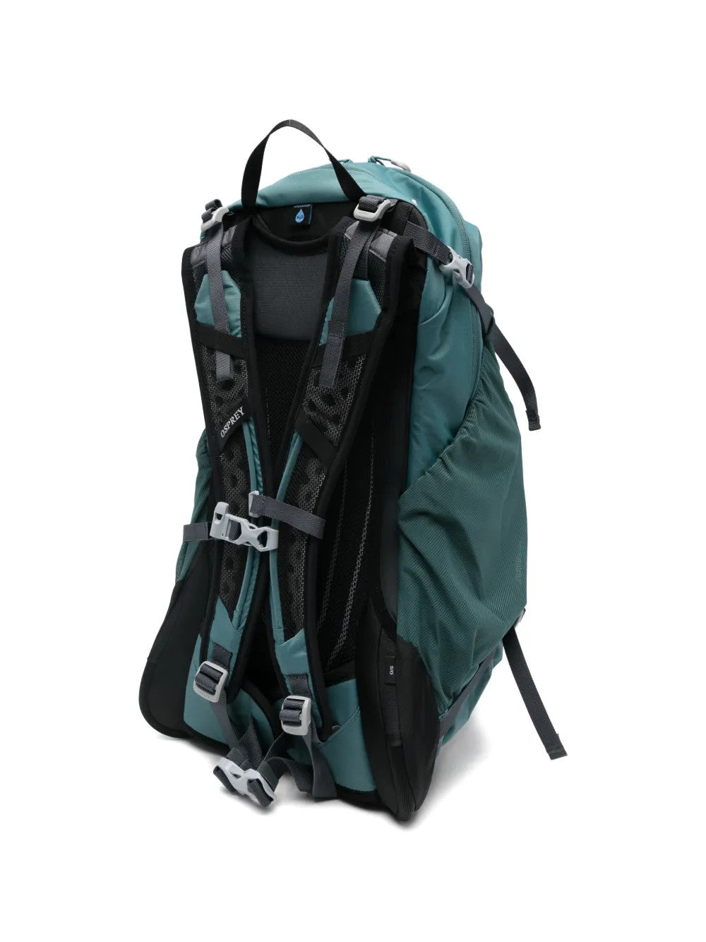 Green bag, back view