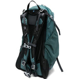 Green bag, back view