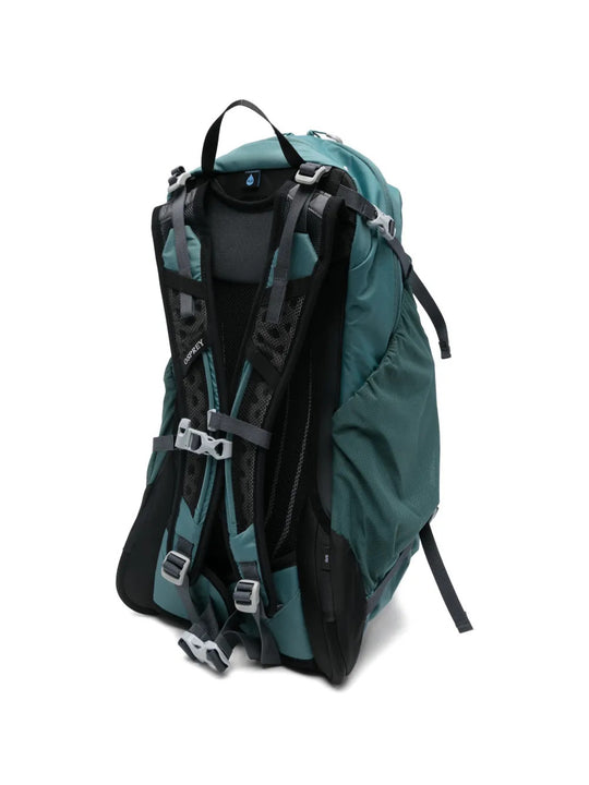 Green bag, back view