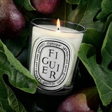 DIPTYQUE - Figuier Classic Candle
