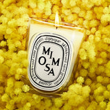 DIPTYQUE - Mimosa Classic Candle